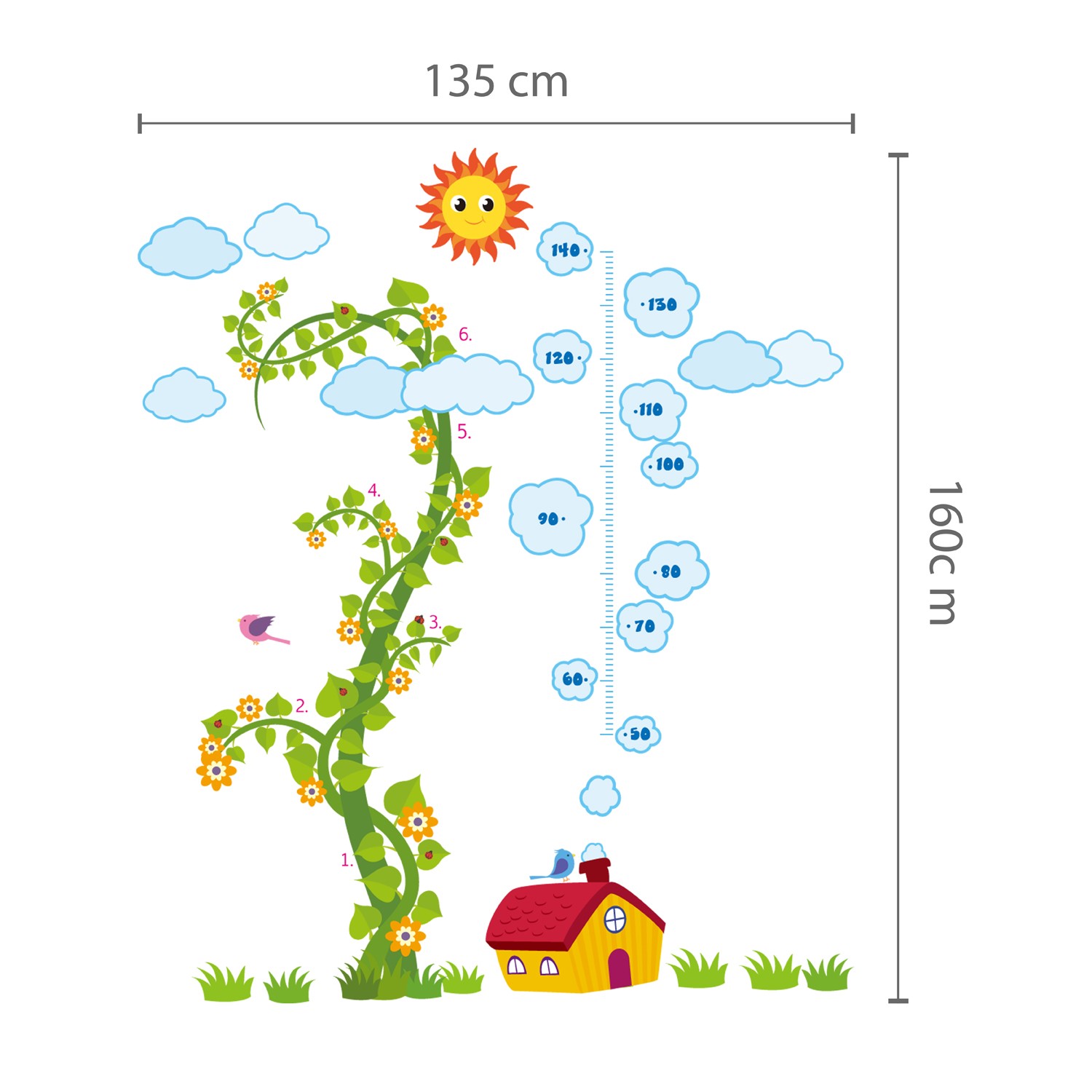 My Growth Chart