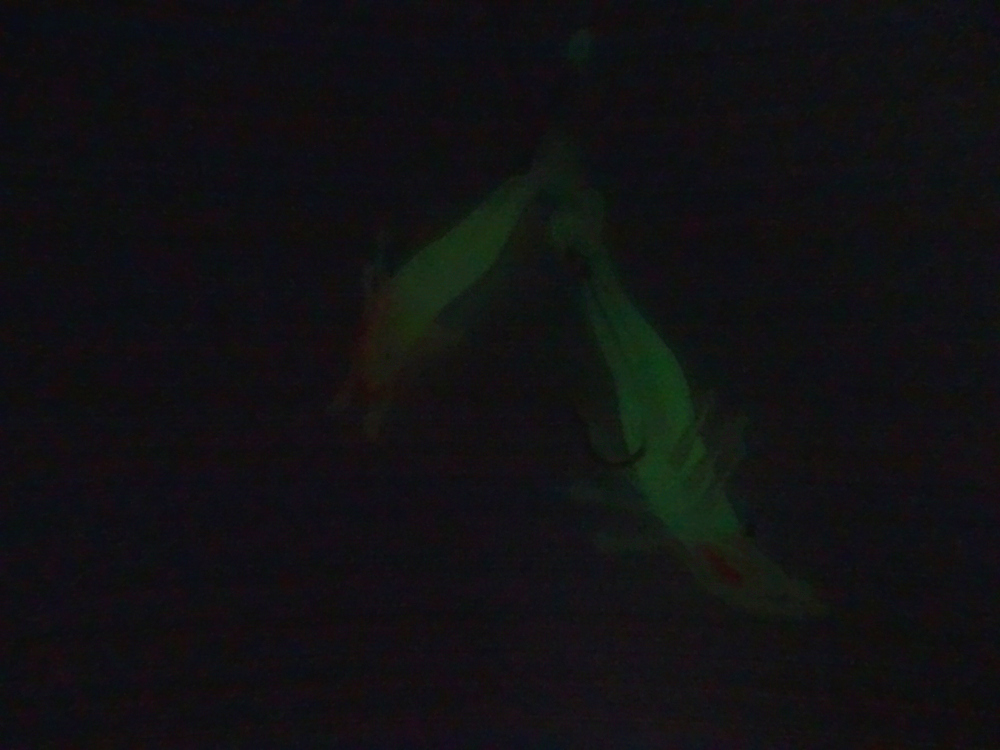 Outdoors Fishing Luminous Elastic Soft Glue Bait Shrimp / 3 Size