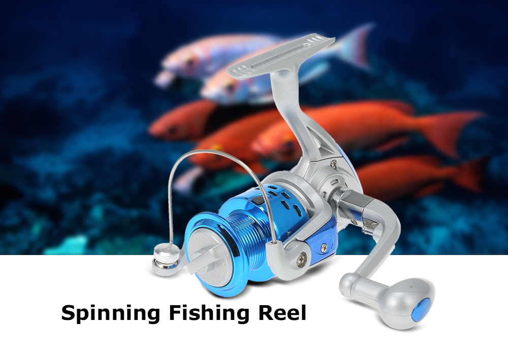 CS Series 8 Ball Bearings Spinning Fishing Reel CS Series 8 Ball Bearings Spinning Fishing Reel