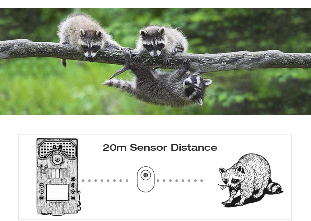 BL280A 1080P HD Infrared Digital Trail Hunting Camera Wildlife Scouting Device BL280A 1080P HD Infrared Digital Trail Hunting Camera Wildlife Scouting Device