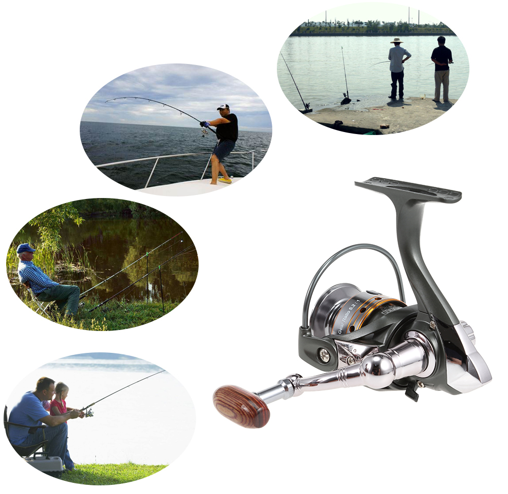 Lizard 11 Ball Bearings 5.2:1 Spinning Fishing Reel Lizard 11 Ball Bearings 5.2:1 Spinning Fishing Reel