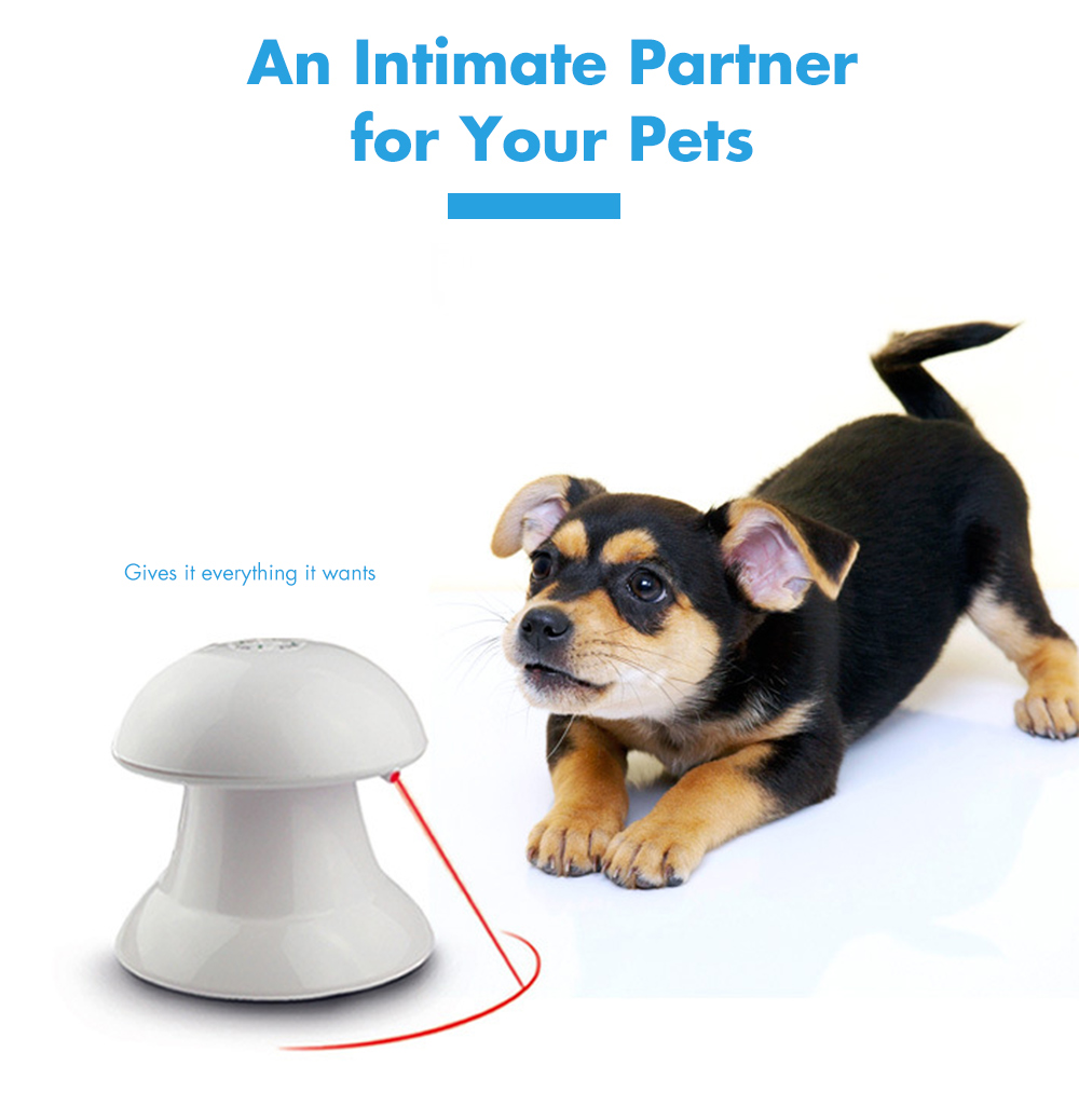 360-degree Automatic Interactive Laser Light Pet Exercise Funny Toy 360-degree Automatic Interactive Laser Light Pet Exercise Funny Toy
