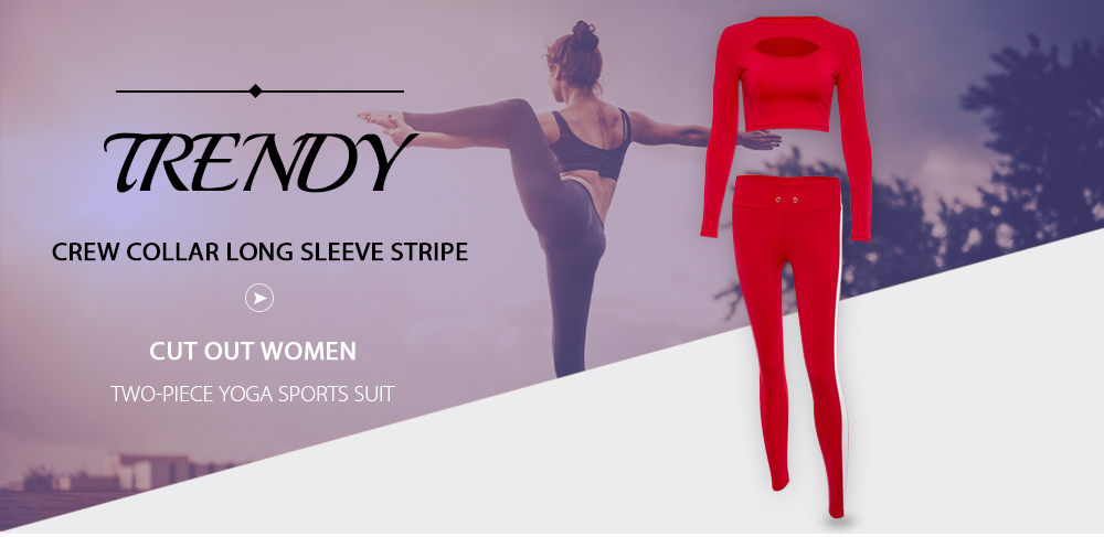 Trendy Crew Collar Long Sleeve Stripe Cut Out Women Two-piece Yoga Sports Suit