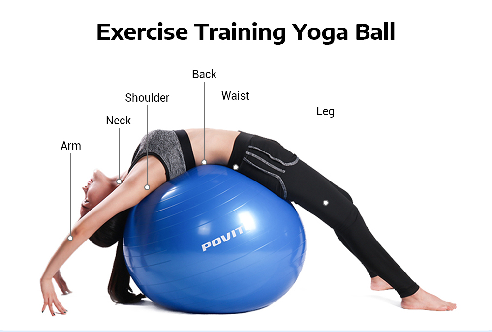 yoga ball stretches