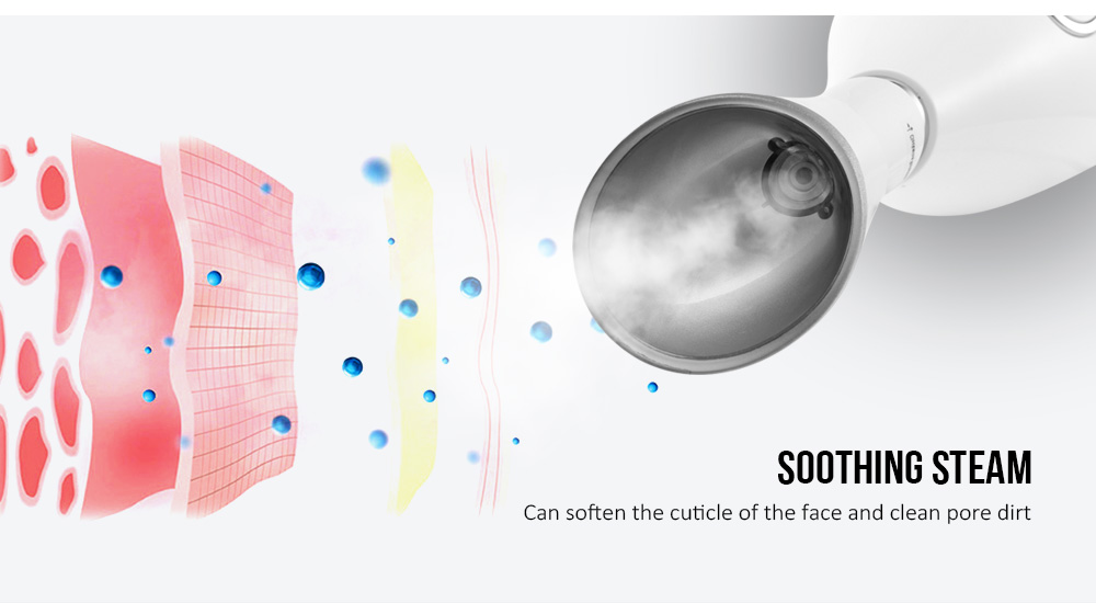 Portable Nano Ionic Facial Steamer Machine At Home