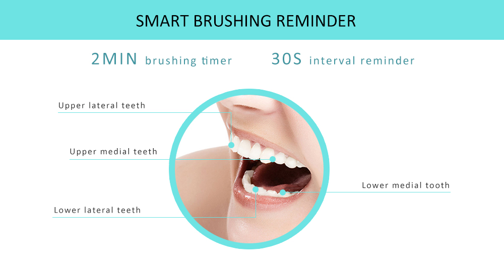 Alfawise RST2050 Sonic Electric Toothbrush Intelligent 2-min Timing with 2 Brush Heads Alfawise RST2050 Sonic Electric Toothbrush Intelligent 2-min Timing with 2 Brush Heads