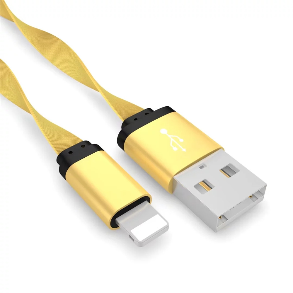 1M iPhone Charger Cable for iPhone X 8 7 6 5s iPad Mobile Phone 1M iPhone Charger Cable for iPhone X 8 7 6 5s iPad Mobile Phone