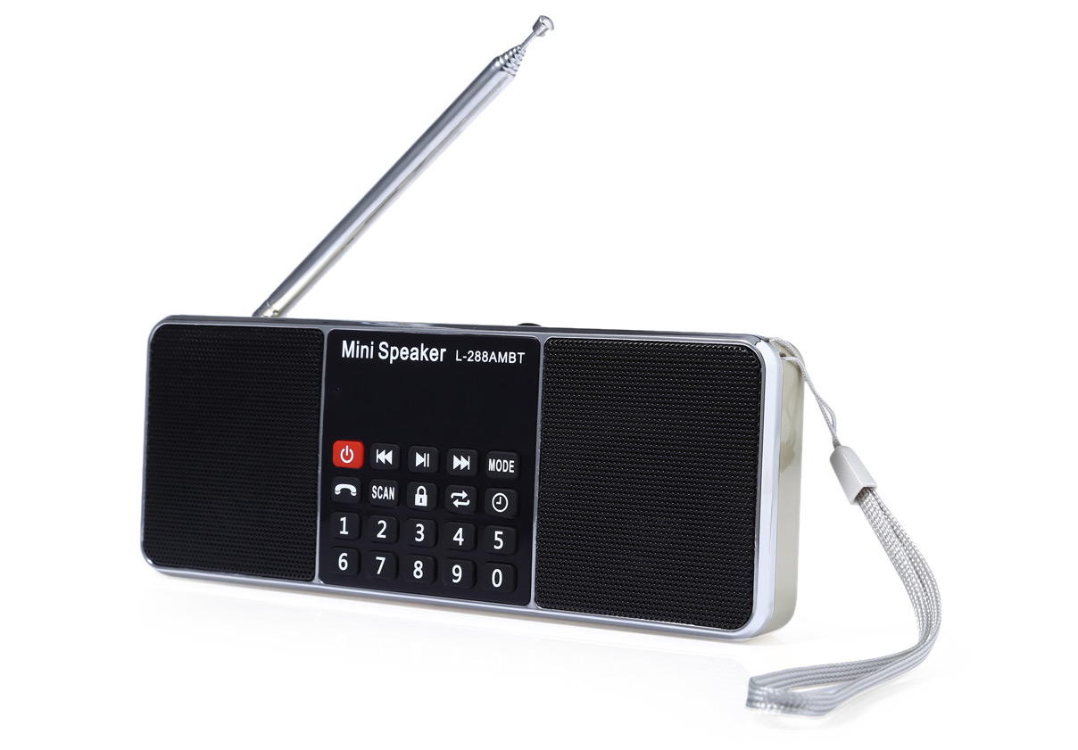 L - 288AMBT Portable Bluetooth Wireless Speaker with AM Radio FM Radio Function