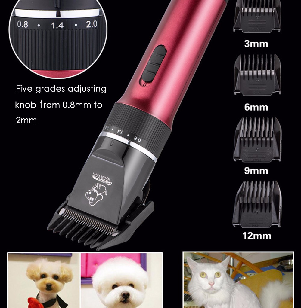 BaoRun P6 Professional Rechargeable Pet Electric Hair Clipper Cutter with Grooming Kit BaoRun P6 Professional Rechargeable Pet Electric Hair Clipper Cutter with Grooming Kit