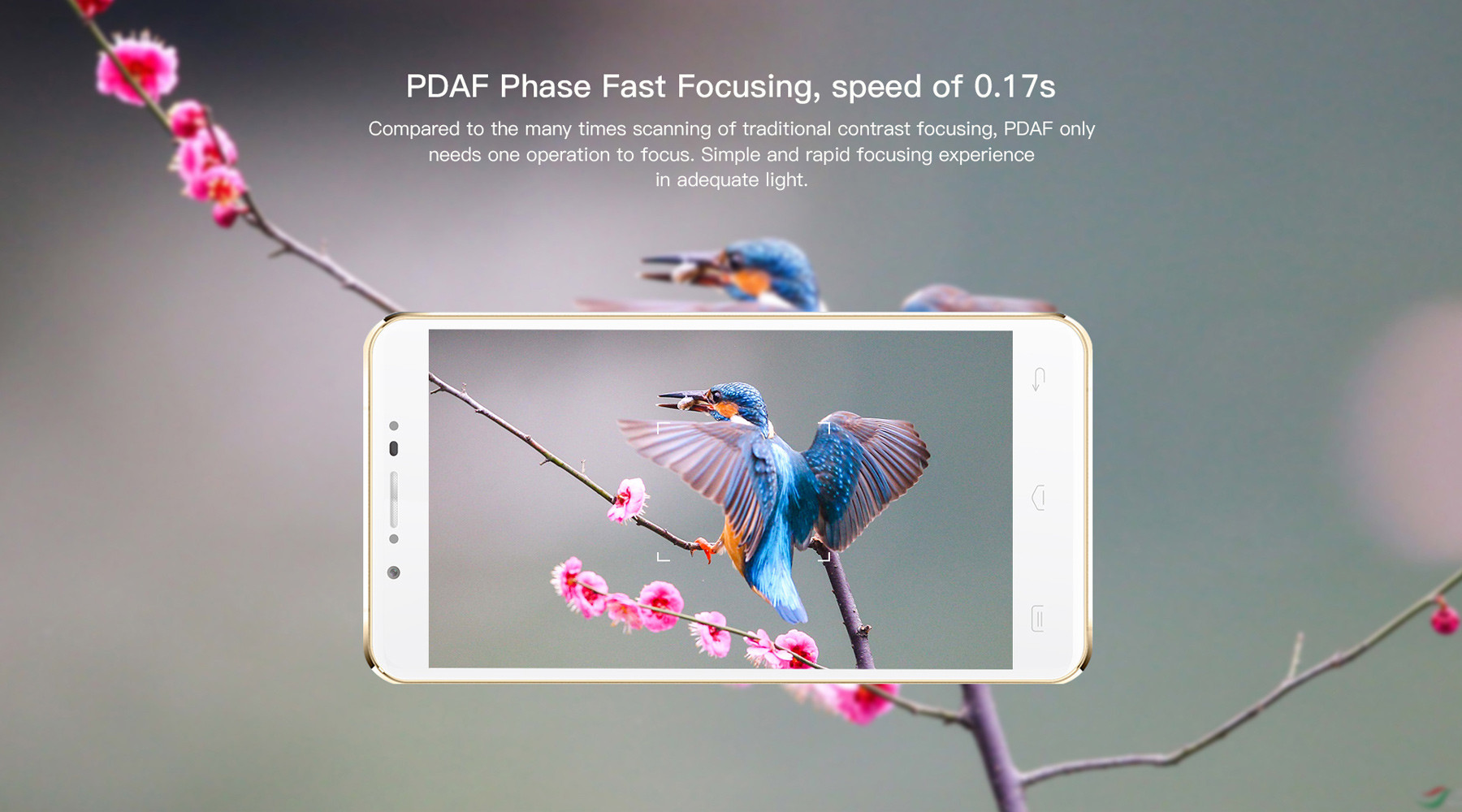 Doogee F7 Android 6.0 5.5 inch 4G Phablet Helio X20 2.3GHz Deca Core 3GB RAM 32GB ROM 13.0MP Rear Camera Bluetooth 4.0 Smart Gestures