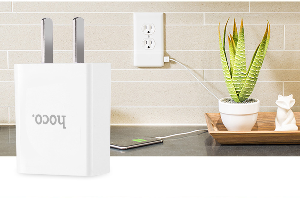HOCO C10 Single USB Output Smart Charging Adapter HOCO C10 Single USB Output Smart Charging Adapter