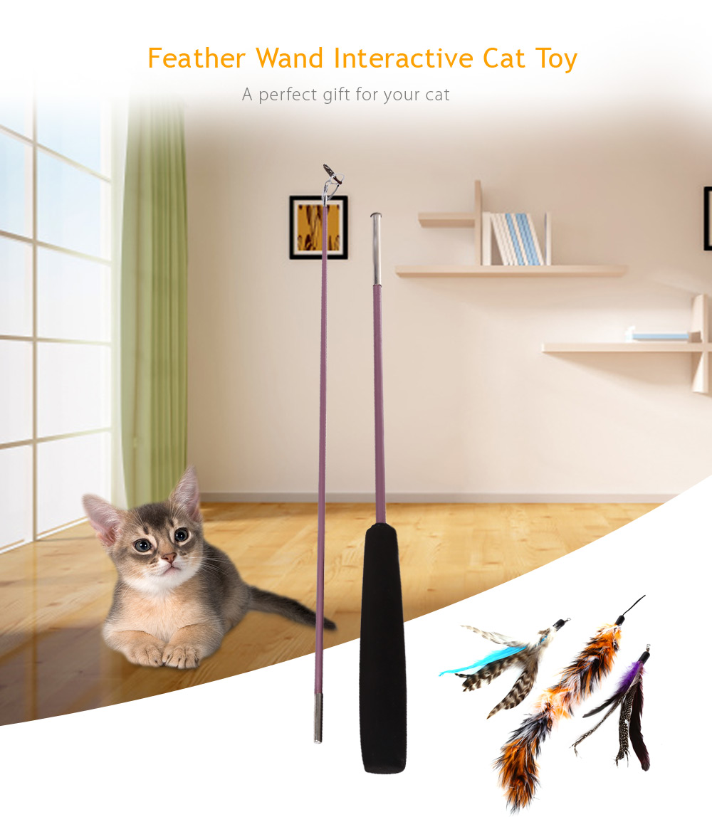 Multiple Feather Interactive Cat Wand Teaser Playing Toy Multiple Feather Interactive Cat Wand Teaser Playing Toy