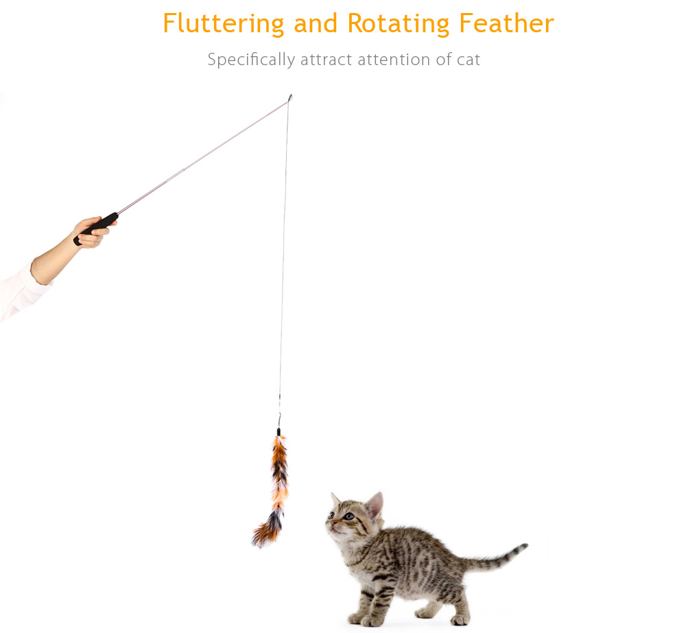 Multiple Feather Interactive Cat Wand Teaser Playing Toy Multiple Feather Interactive Cat Wand Teaser Playing Toy