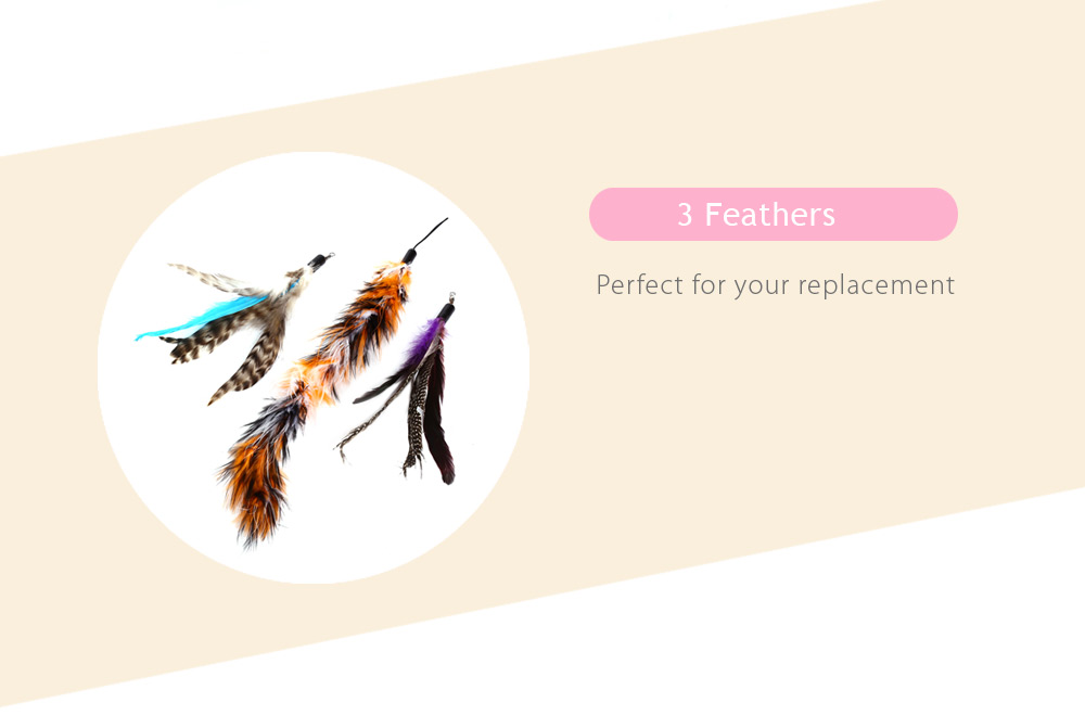 Multiple Feather Interactive Cat Wand Teaser Playing Toy Multiple Feather Interactive Cat Wand Teaser Playing Toy