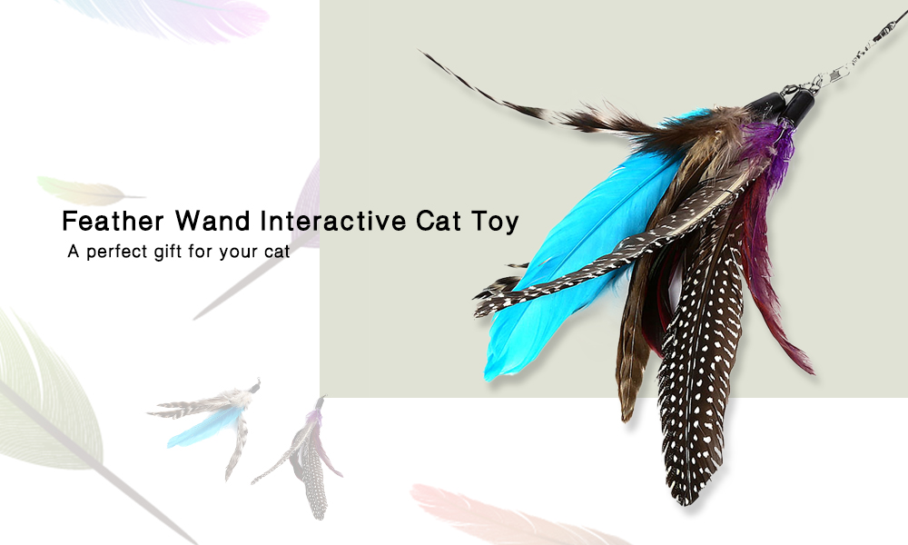 Retractable Interactive Cat Wand Teaser Toy with 2 Feathers Retractable Interactive Cat Wand Teaser Toy with 2 Feathers