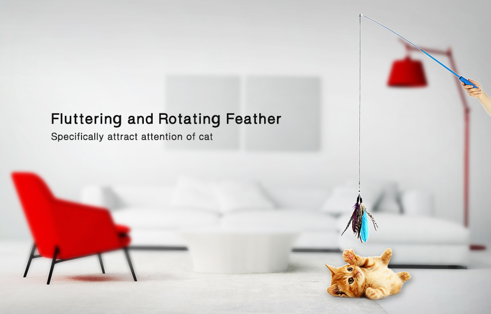 Retractable Interactive Cat Wand Teaser Toy with 2 Feathers Retractable Interactive Cat Wand Teaser Toy with 2 Feathers