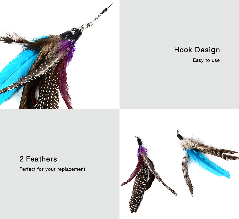 Retractable Interactive Cat Wand Teaser Toy with 2 Feathers Retractable Interactive Cat Wand Teaser Toy with 2 Feathers