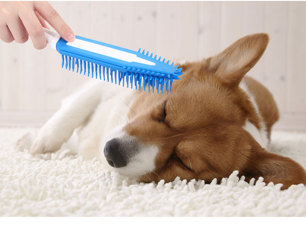 Pet Dog Puppy Cat Bristle Bath Brush Comb Deplitation Silicone Sticky Hair Tool Pet Dog Puppy Cat Bristle Bath Brush Comb Deplitation Silicone Sticky Hair Tool
