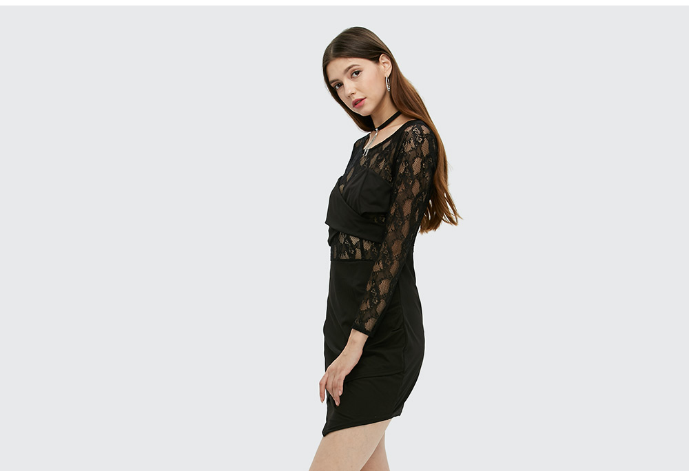 Sexy Long Sleeve Round Collar Hollow Lace Spliced Dress for Women Sexy Long Sleeve Round Collar Hollow Lace Spliced Dress for Women