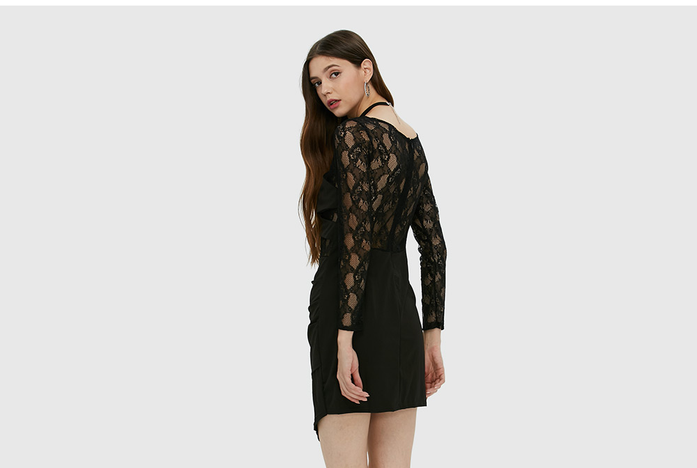 Sexy Long Sleeve Round Collar Hollow Lace Spliced Dress for Women Sexy Long Sleeve Round Collar Hollow Lace Spliced Dress for Women