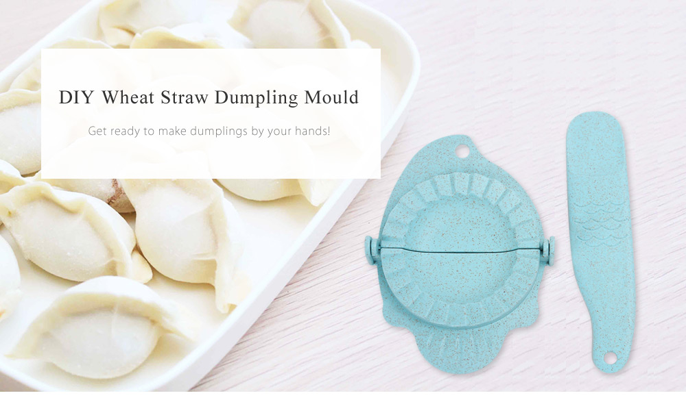 DIY Wheat Straw Dumpling Mold + Spoon Filling Pie Kitchen Accessory