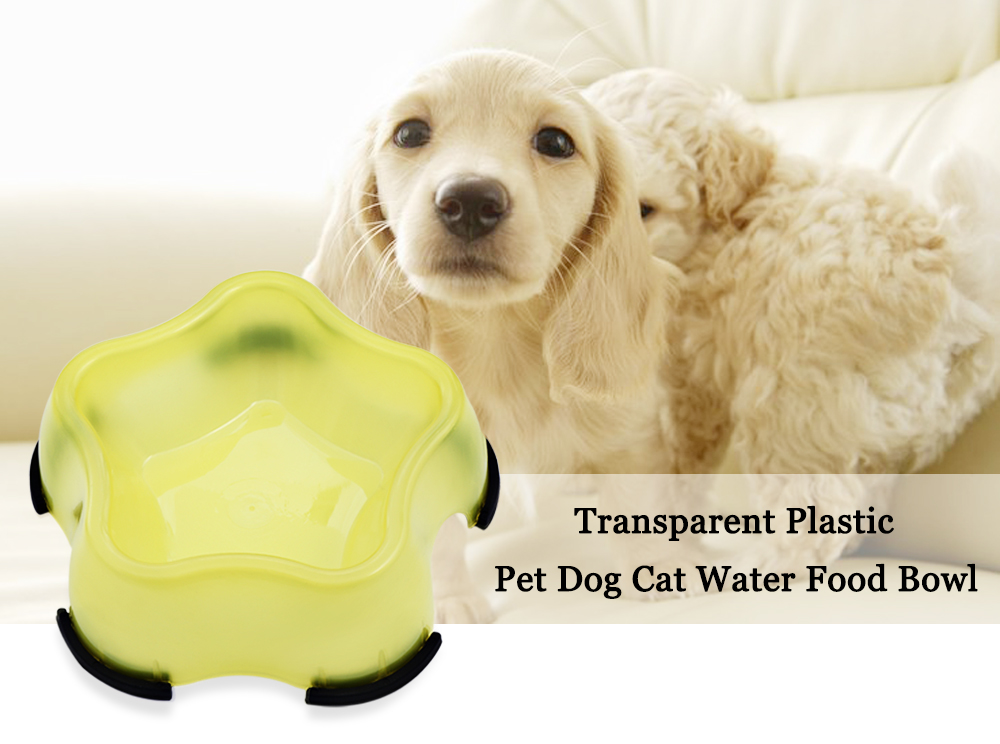 Transparent Plastic Pet Dog Cat Water Food Bowl Transparent Plastic Pet Dog Cat Water Food Bowl