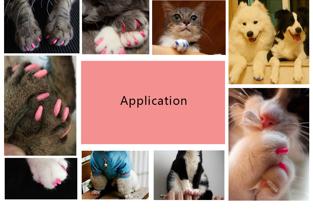 20pcs Pet Dog Nail Caps Claw Control Protector Cover with Adhesive Glue 20pcs Pet Dog Nail Caps Claw Control Protector Cover with Adhesive Glue