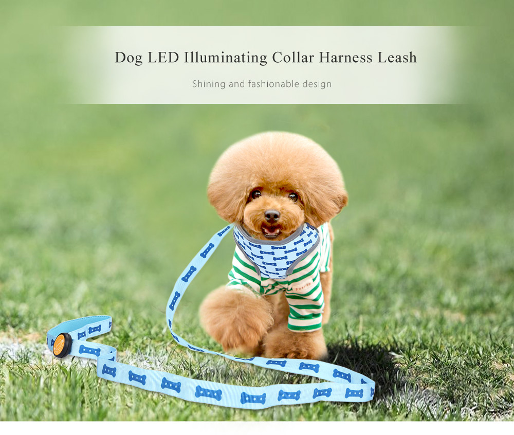 Royal Wise R Pet Dog LED Lights Illuminating Adjustable Collar Harness Leash for Training Walking Running Royal Wise R Pet Dog LED Lights Illuminating Adjustable Collar Harness Leash for Training Walking Running