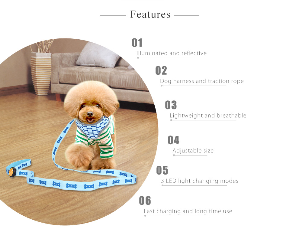 Royal Wise R Pet Dog LED Lights Illuminating Adjustable Collar Harness Leash for Training Walking Running Royal Wise R Pet Dog LED Lights Illuminating Adjustable Collar Harness Leash for Training Walking Running