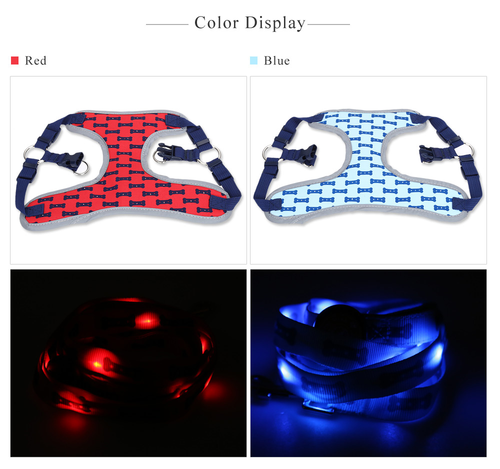 Royal Wise R Pet Dog LED Lights Illuminating Adjustable Collar Harness Leash for Training Walking Running Royal Wise R Pet Dog LED Lights Illuminating Adjustable Collar Harness Leash for Training Walking Running