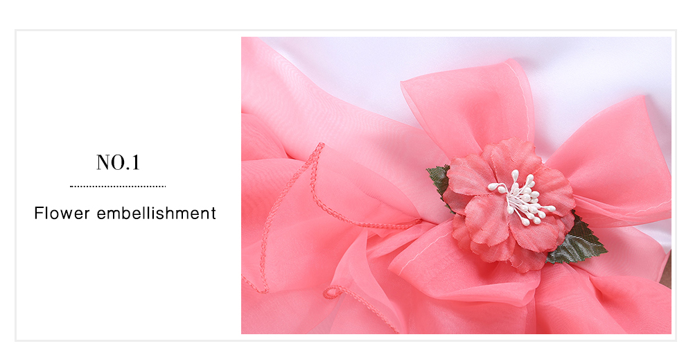 Baihui Girls Sleeveless Ruffle Hem Floral Ball Gown Tulle Dress