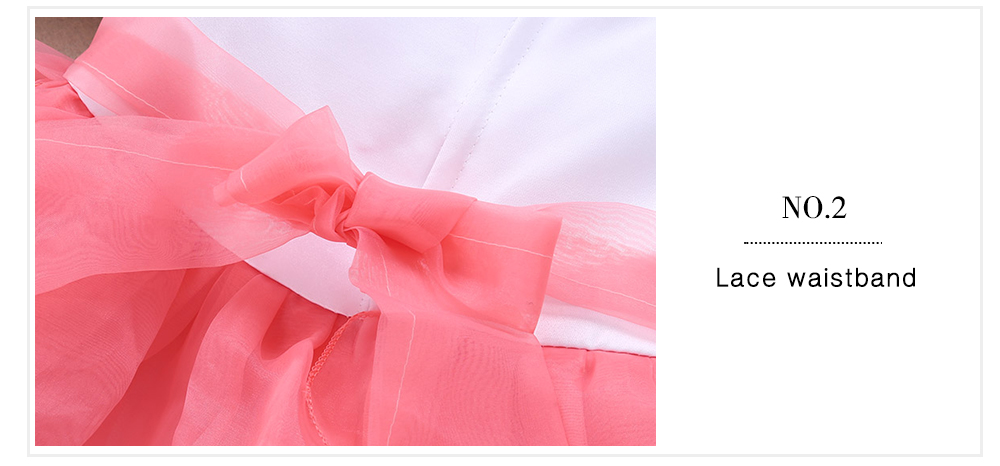Baihui Girls Sleeveless Ruffle Hem Floral Ball Gown Tulle Dress