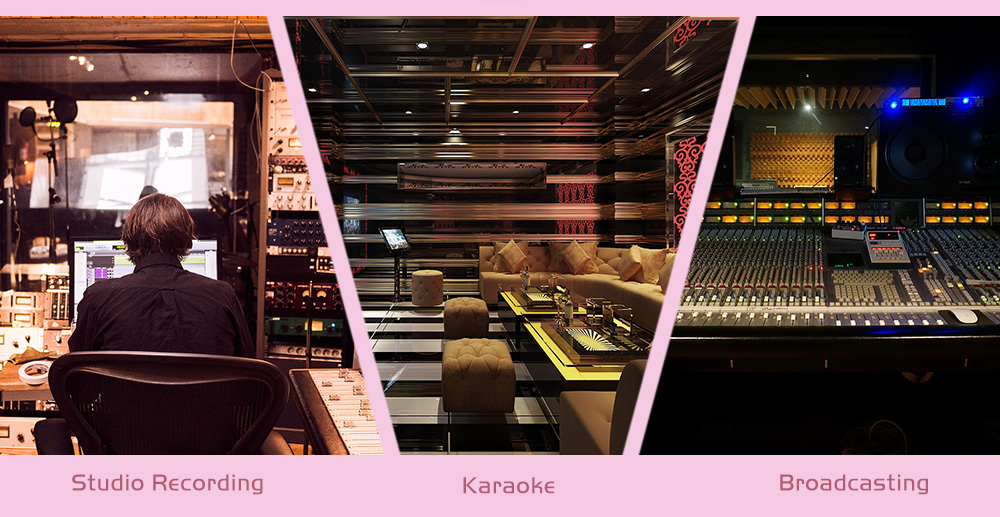 LEIHAO Professional Condenser Microphone Studio Broadcasting Recording LEIHAO Professional Condenser Microphone Studio Broadcasting Recording