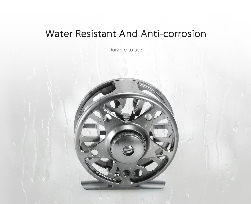 LEO AL 75 2 + 1 Ball Bearing Gear Ratio 1:1 Fly Fishing Reel Aluminum Alloy Wheel LEO AL 75 2 + 1 Ball Bearing Gear Ratio 1:1 Fly Fishing Reel Aluminum Alloy Wheel