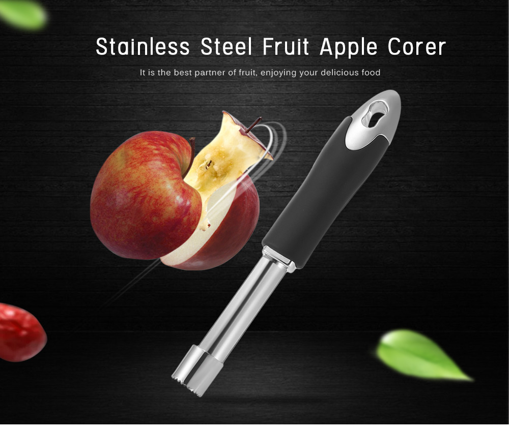 Stainless Steel Fruit Apple Corer Core Seed Remover Kitchen Gadget