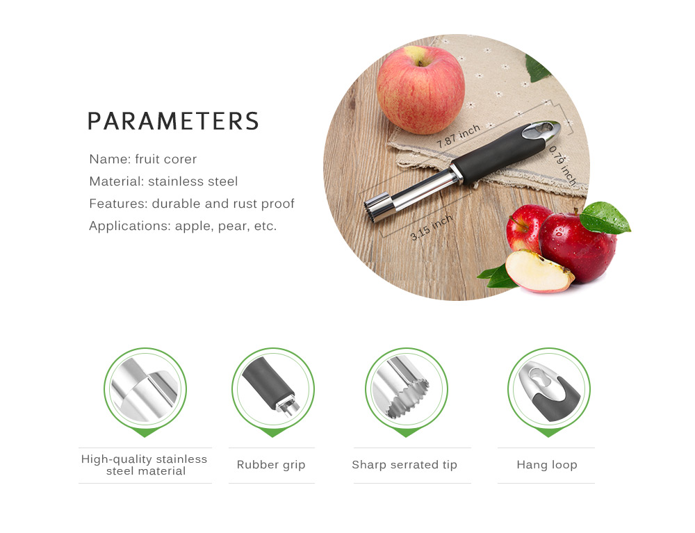 Stainless Steel Fruit Apple Corer Core Seed Remover Kitchen Gadget