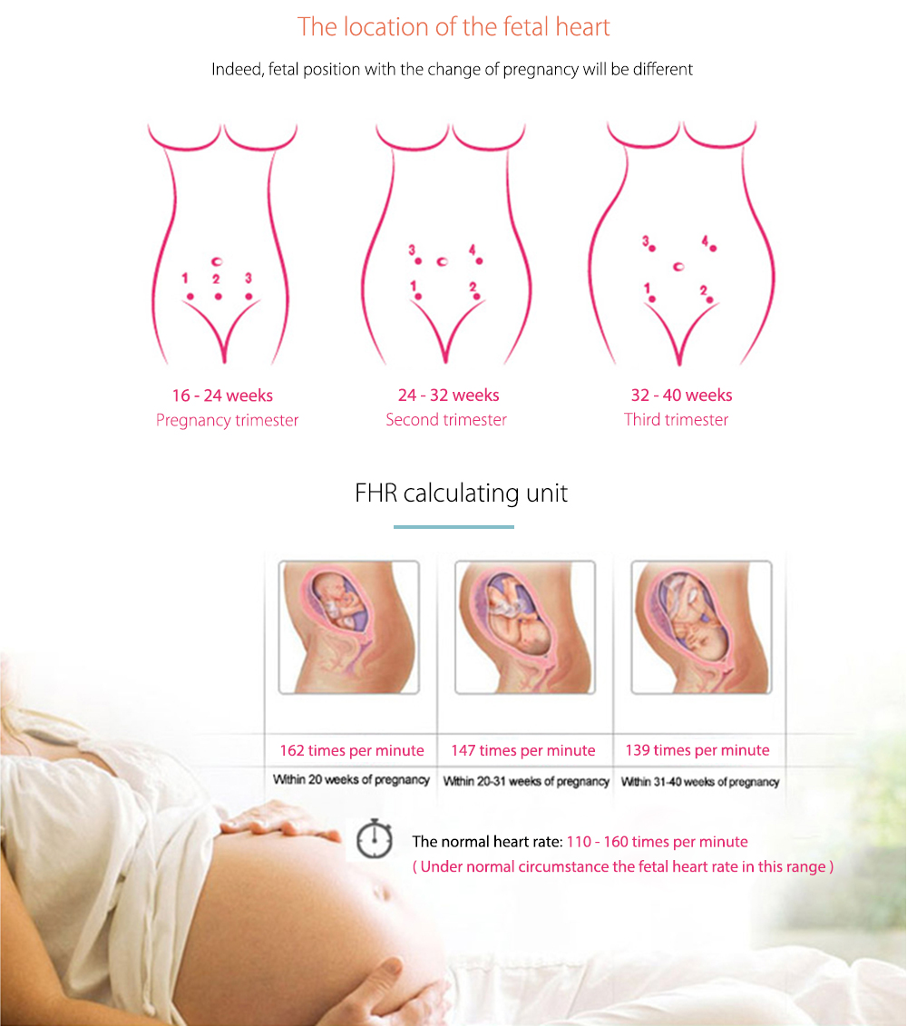 ACurio AF - 703 Pregnant Ultrasonic Fetal Doppler Prenatal Heart Rate Monitor