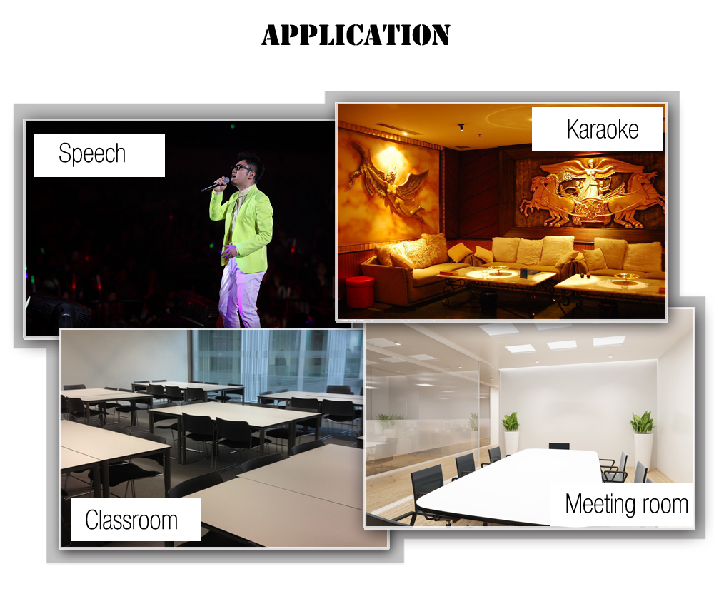 Yanmai SF - 700 Cardioid Broadcasting Recording Condenser Microphone Yanmai SF - 700 Cardioid Broadcasting Recording Condenser Microphone